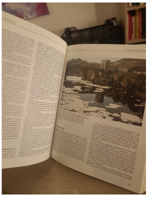 Guide familial des médecines alternatives - Panorama des pratiques et soins naturels