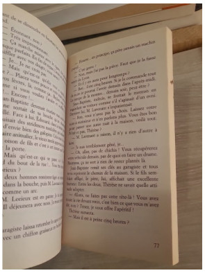 Les Hauts du bas - Roman noir troublant de Pascal Garnier