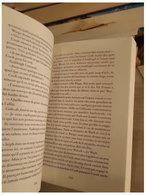 Le linguiste était presque parfait - Roman drôle et intrigant sur les mystères du langage
