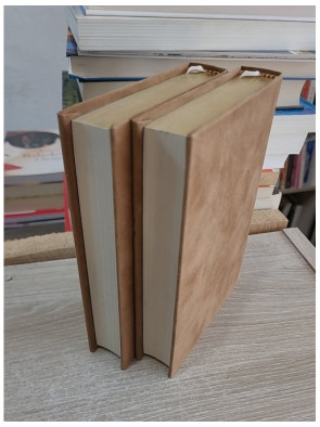 La Rivière Espérance Tomes I et II - Saga historique de Christian Signol