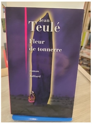 Fleur de tonnerre - Roman inspiré d'une empoisonneuse en Bretagne au XIXe siècle