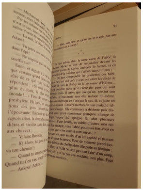 Fleur de tonnerre - Roman inspiré d'une empoisonneuse en Bretagne au XIXe siècle