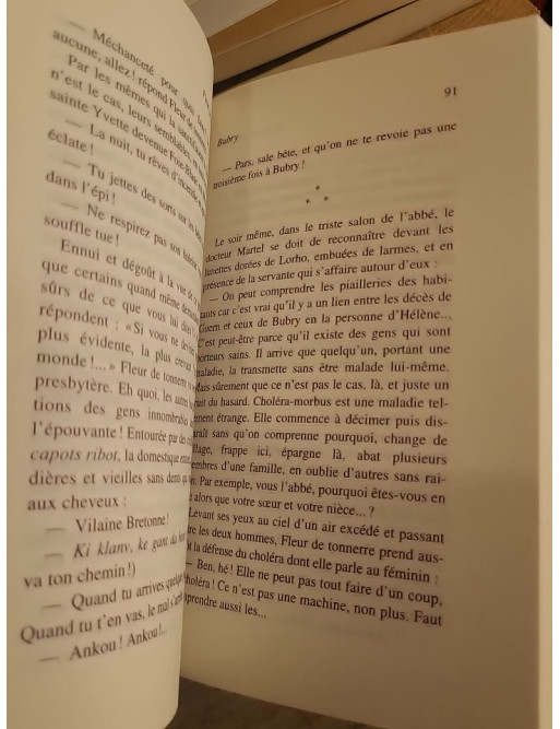 Fleur de tonnerre - Roman inspiré d'une empoisonneuse en Bretagne au XIXe siècle