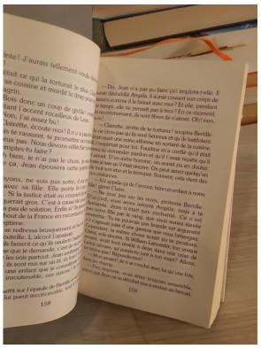 Les ravages de la passion - Saga familiale intense et secrets du Moulin du Loup