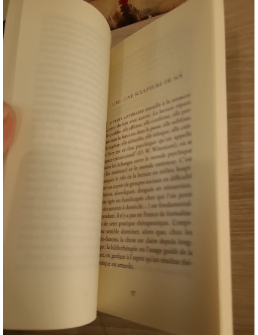 Les livres prennent soin de nous - Pour une bibliothérapie créative et critique