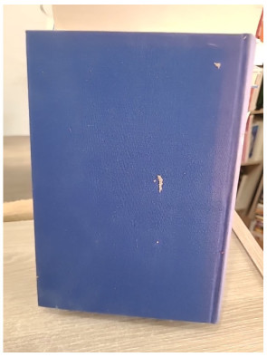 François Ier : le roi de la Renaissance