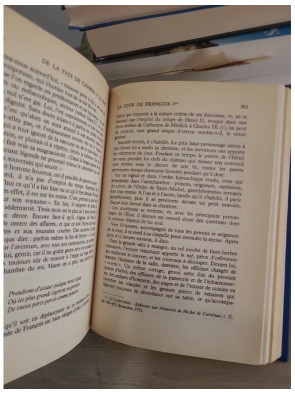 François Ier : le roi de la Renaissance