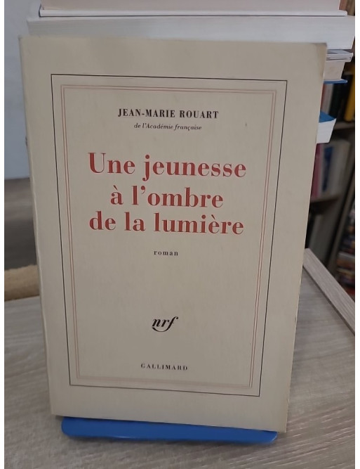 Une jeunesse à l'ombre de la lumière - Roman autobiographique sur l'impressionnisme et la quête de soi