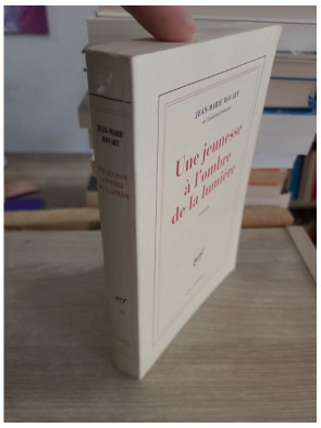 Une jeunesse à l'ombre de la lumière - Roman autobiographique sur l'impressionnisme et la quête de soi