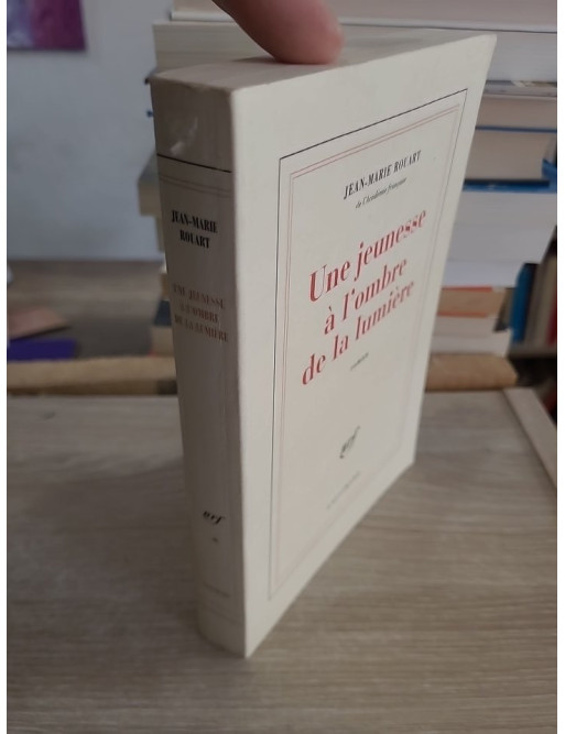 Une jeunesse à l'ombre de la lumière - Roman autobiographique sur l'impressionnisme et la quête de soi