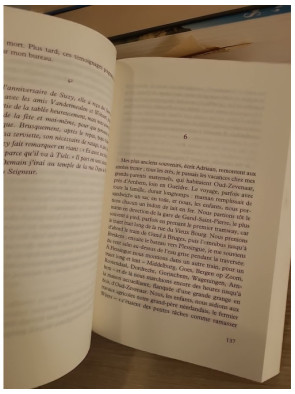 Une ascension - roman historique et enquête intime sur un passé troublé