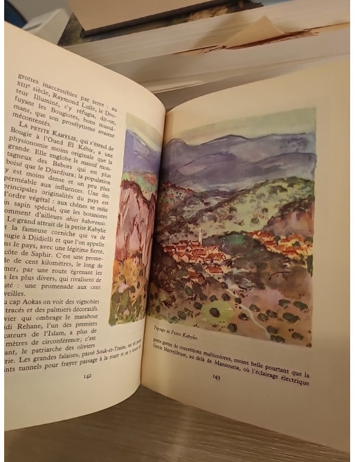 L'Afrique du Nord - Algérie, Tunisie, Maroc, Sahara et Libye, panorama historique et géographique