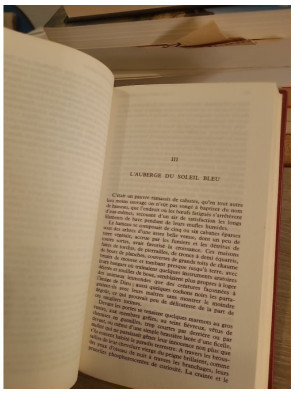 Le Capitaine Fracasse - roman classique d'aventure et de cape et d'épée