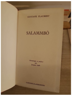 Salammbô - roman historique antique et fresque carthaginoise