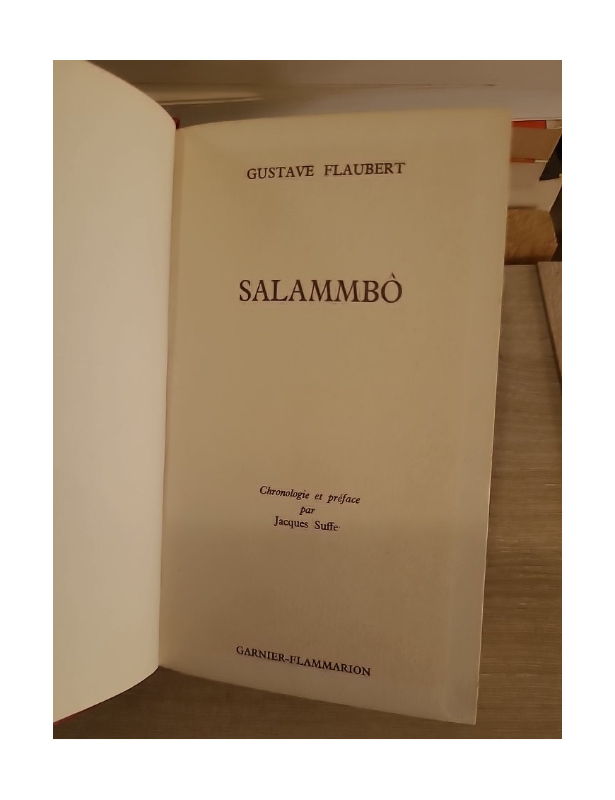 Salammbô - roman historique antique et fresque carthaginoise