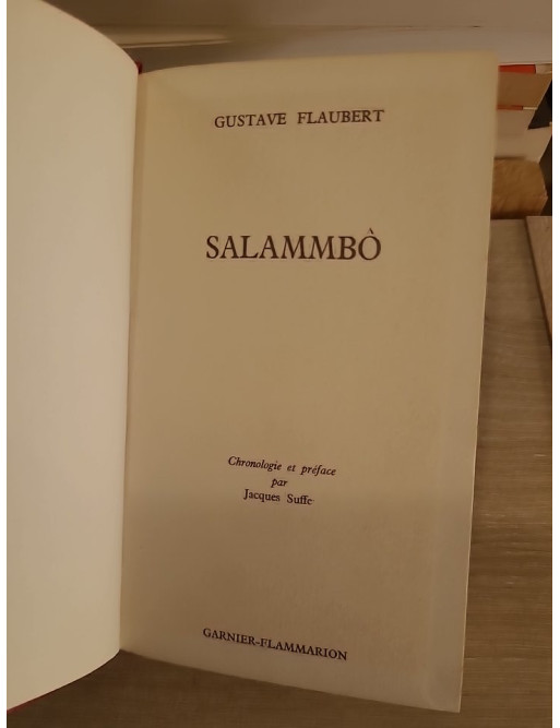 Salammbô - roman historique antique et fresque carthaginoise