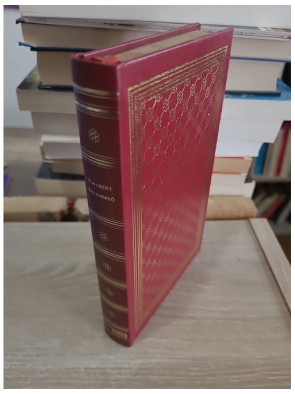 Salammbô - roman historique antique et fresque carthaginoise