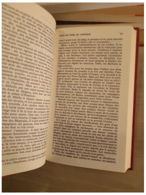 Salammbô - roman historique antique et fresque carthaginoise