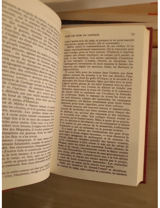 Salammbô - roman historique antique et fresque carthaginoise