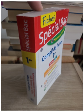 Spécial Bac 1re - fiches SES, Maths, Histoire-Géo, Géopolitique et Sciences Po