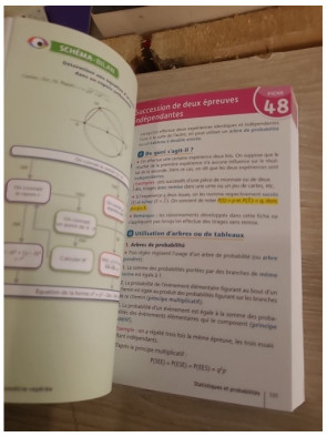 Spécial Bac 1re - fiches SES, Maths, Histoire-Géo, Géopolitique et Sciences Po