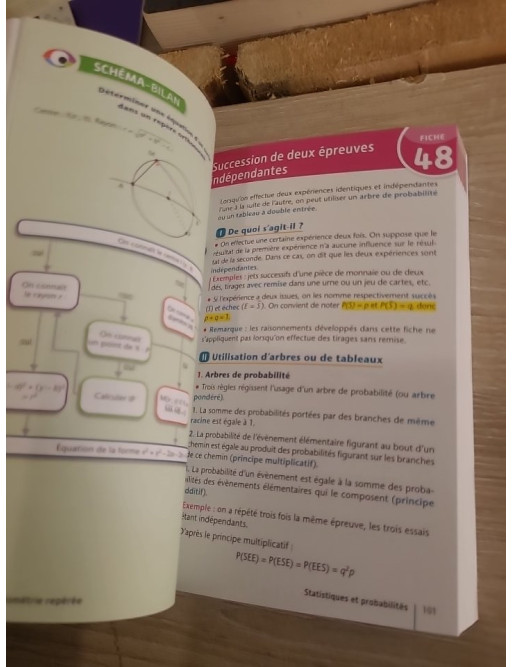Spécial Bac 1re - fiches SES, Maths, Histoire-Géo, Géopolitique et Sciences Po