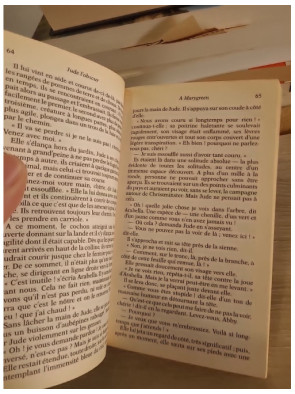 Jude l'obscur - roman classique sur l'ambition et les contraintes sociales