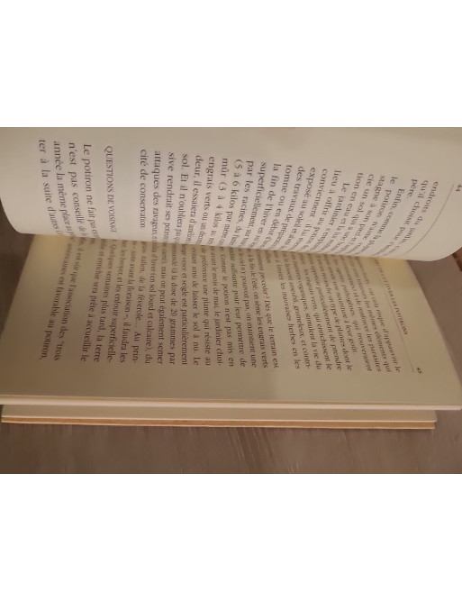 Le Potiron - histoire, culture et recettes autour du géant du potager