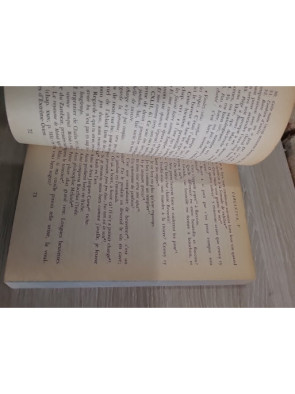 Gargantua - classique satirique et humaniste de la Renaissance