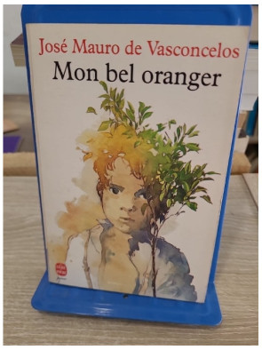 Mon bel oranger - récit d'enfance et émotion dans le Brésil populaire