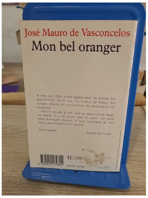 Mon bel oranger - récit d'enfance et émotion dans le Brésil populaire