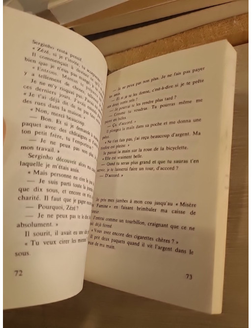 Mon bel oranger - récit d'enfance et émotion dans le Brésil populaire