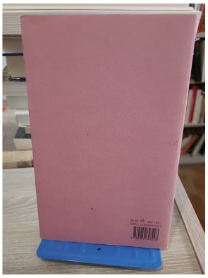 Lisbonne - Guide touristique et regard littéraire sur la capitale portugaise par Fernando Pessoa