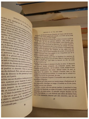 Michael K, sa vie, son temps - Roman sur la survie et la dignité en Afrique du Sud