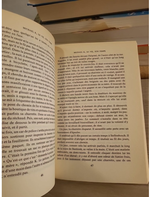 Michael K, sa vie, son temps - Roman sur la survie et la dignité en Afrique du Sud