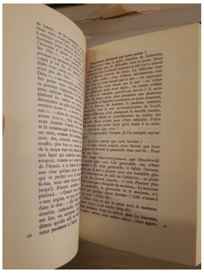 Cosmos - Roman existentiel et énigmatique de Witold Gombrowicz