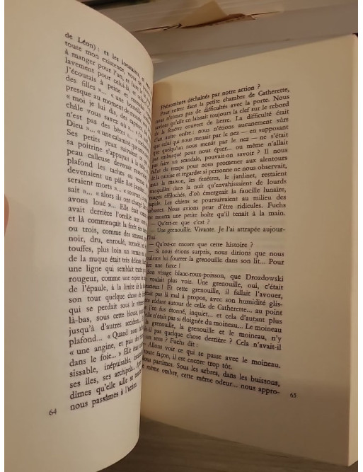 Cosmos - Roman existentiel et énigmatique de Witold Gombrowicz