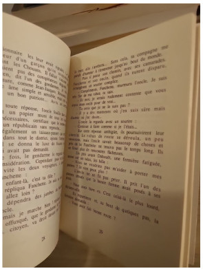 Fanchette et le moulin maudit - JDA 5, livre-jeu d'aventure jeunesse