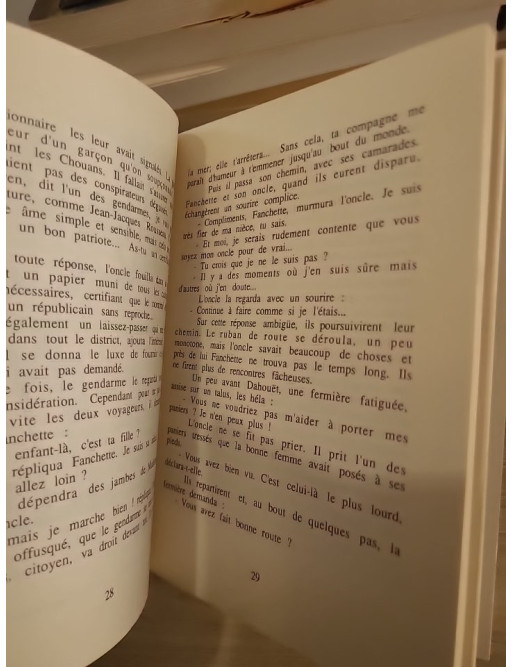 Fanchette et le moulin maudit - JDA 5, livre-jeu d'aventure jeunesse