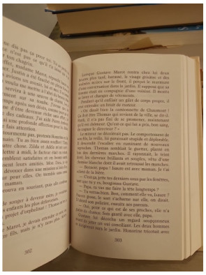 La galerie des jalousies - Tome 3, saga familiale et secrets du passé