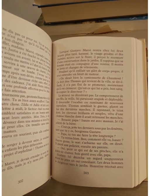 La galerie des jalousies - Tome 3, saga familiale et secrets du passé