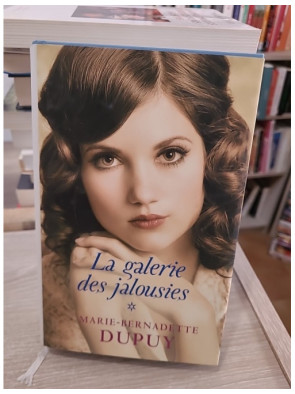 La galerie des jalousies - Tome 1, saga familiale dans un village minier vendéen