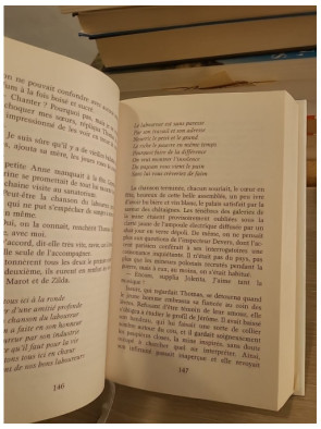 La galerie des jalousies - Tome 1, saga familiale dans un village minier vendéen