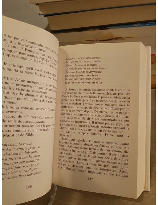 La galerie des jalousies - Tome 1, saga familiale dans un village minier vendéen