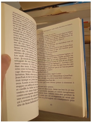 L'Invitation - roman de Joan Haggerty