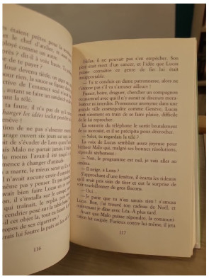 Les bois de Battandière - roman familial et secrets du passé