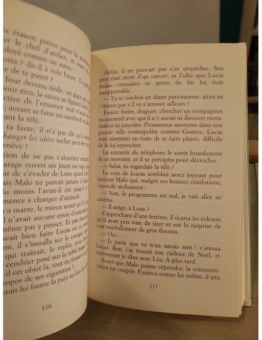 Les bois de Battandière - roman familial et secrets du passé