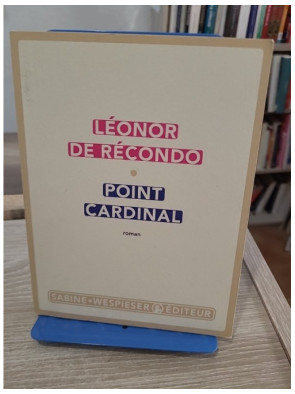 Point Cardinal - roman sur l'identité et la transformation personnelle
