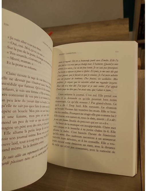 Point Cardinal - roman sur l'identité et la transformation personnelle