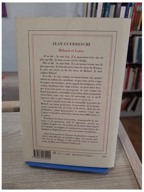 Bélard et Loïse - roman sur la passion et les relations transgressives